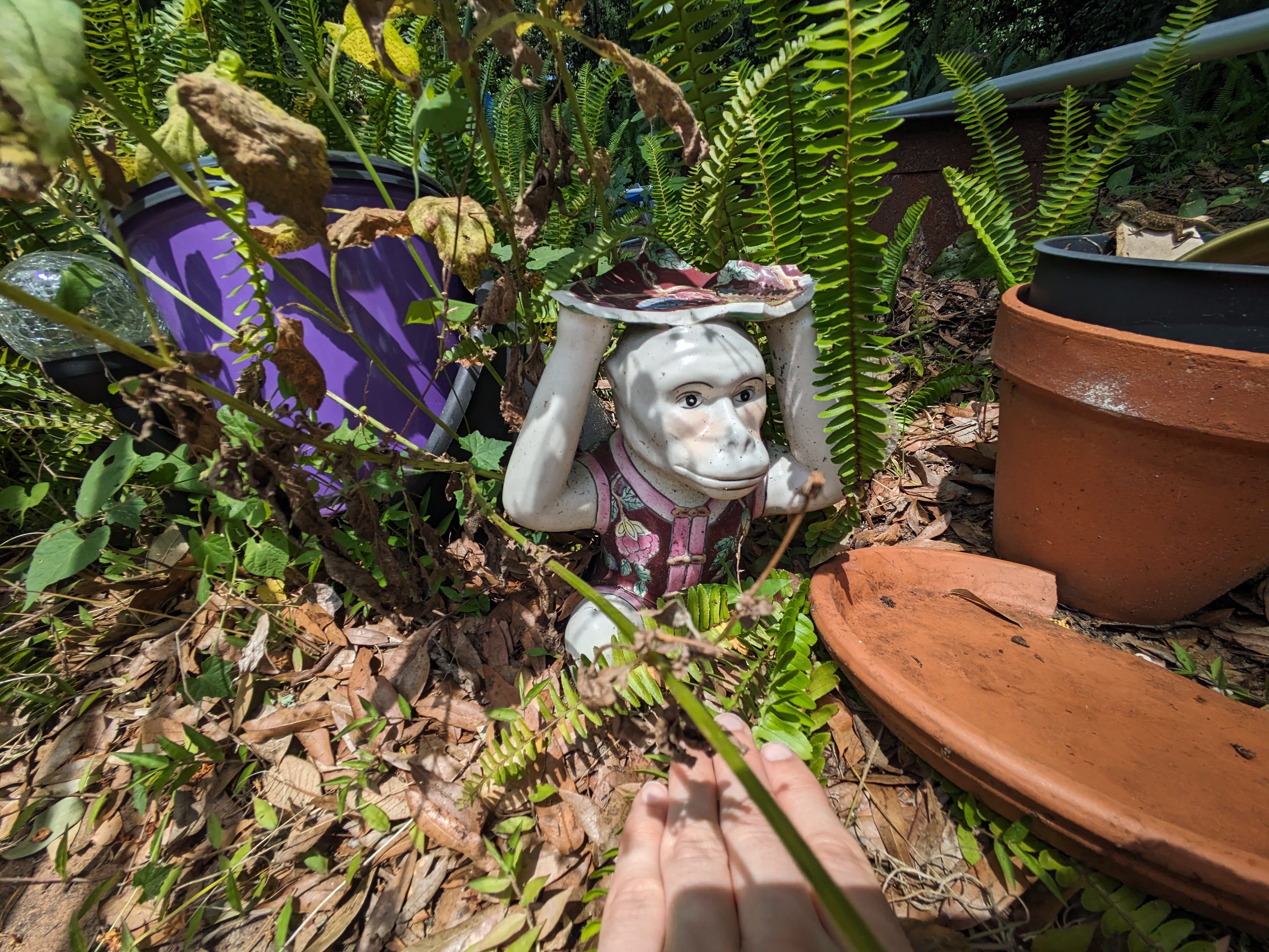 Ultra-wide camera shot of ceramic monkey outdoors