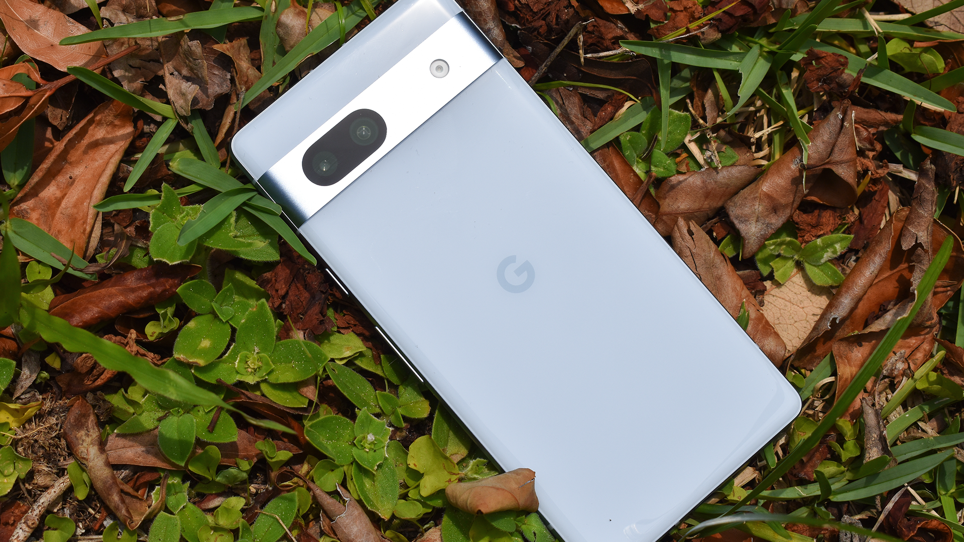 The Google Pixel 7a sitting in some grass.
